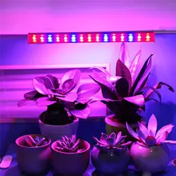 Laideyi 5 шт. светать полный спектр светодиодные трубки комнатное растение гидропоники Системы парниковых растет палатка Лампы для мотоциклов