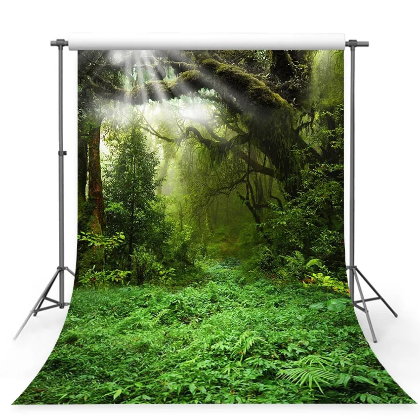 

Green Screen Photograph Backgrounds Scenes Green Forest Sunlight Photographic Backgrounds Photo Backdrops for Photo Studio
