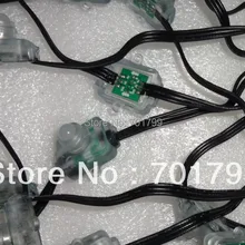 100 шт. DC12V вход WS2811 светодиодная точечная лампа, со всеми черный провод, IP68 Номинальная; С Заполнение эпоксидной смолой