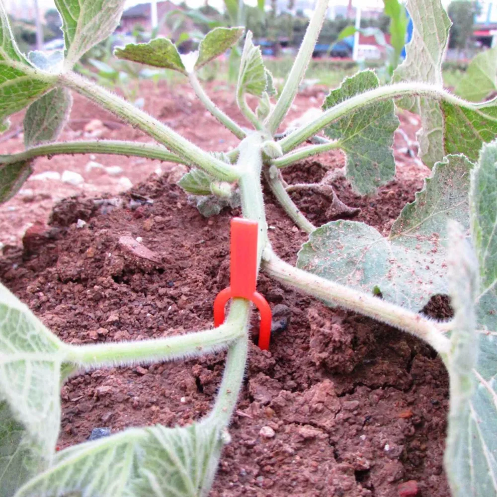 Practical Stolons fixing fastening Fixture Clips strawberry fork Farming clamp Plastic Durable Plant Clip Farming Clip 50pcs