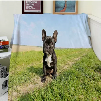 

Blankets Comfort Warmth Soft Cozy Air conditioning Easy Care Machine Wash Funny French Bulldog Puppy