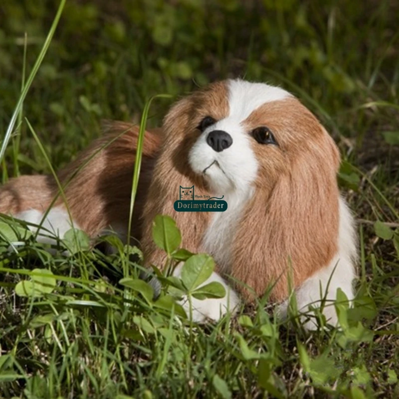 

Dorimytrader lovely soft simulation King Charles Spaniel plush dogs toy realistic animals dog pet model decoration gift 26x13x10
