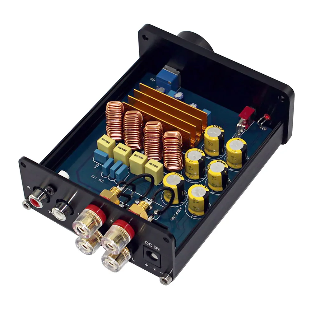 AIYIMA 2*50 Вт мини HiFi TPA3116 Мощность усилитель цифровой аудио стерео музыки усилителя 2