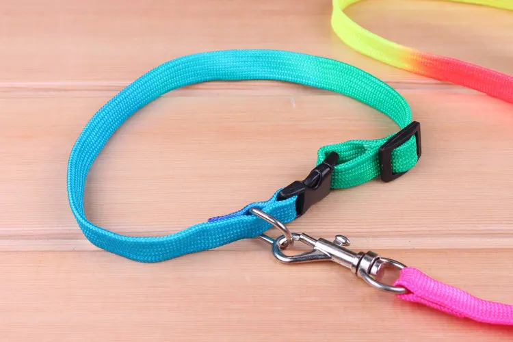 Dog leads 4