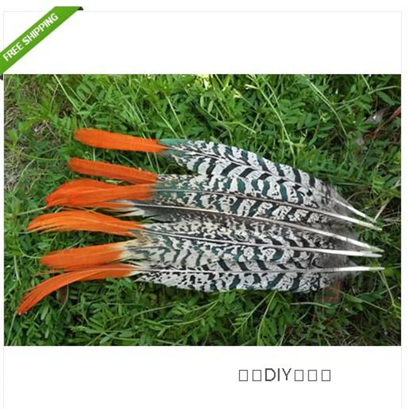 5 PCS beautiful natural pheasant feather 20 25cm / 8 10inchesin