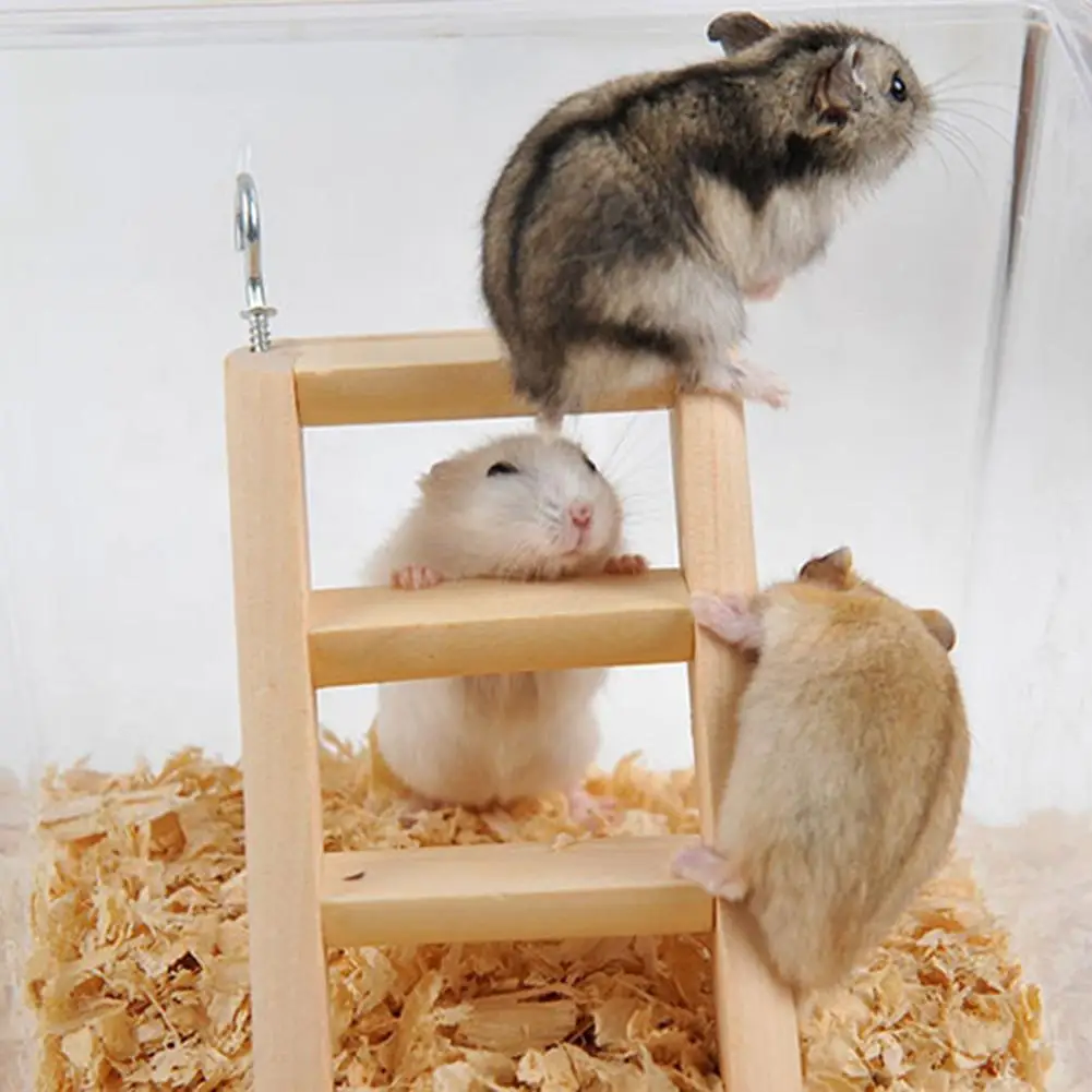 45 Creative Wooden font b Pet b font Climbing Toy Anti slip Ladder with Hooks Hamster
