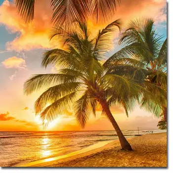 

NICOLESHENTING Sunset - Tropical Beach Ocean Sea Art Silk Fabric Poster Print 24x24 32x32" Plam Tree Landscape Pictures 010