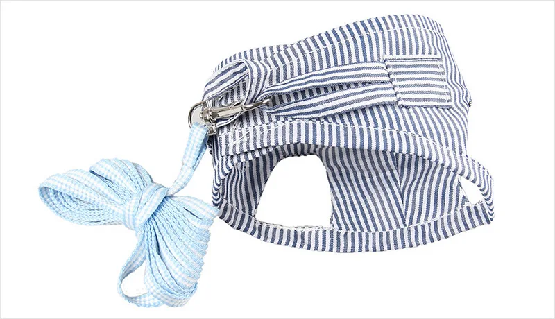 Blue striped harness leash set
