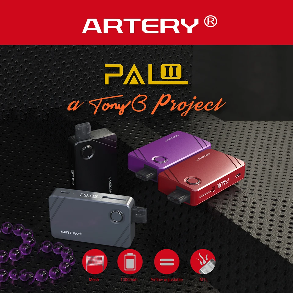 Artery PAL II KIT (80)