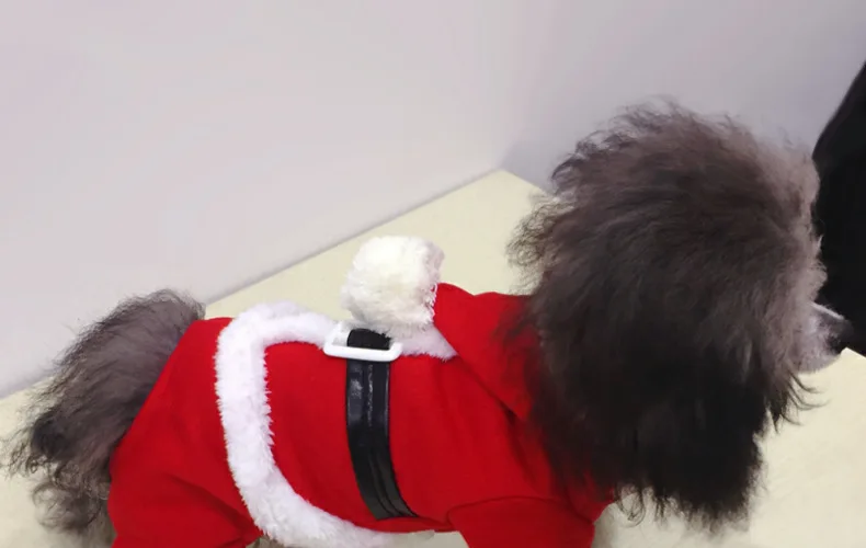 9602892292_304777943