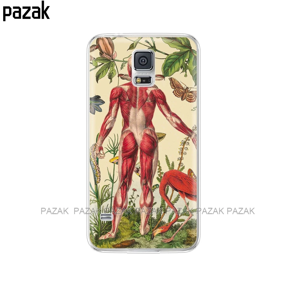 Мягкий силиконовый чехол для samsung Galaxy S5 чехол s чехол для телефона samsung S5 Neo Capa для samsung S5 i9600 SM-G900F чехол s pop - Цвет: 34532