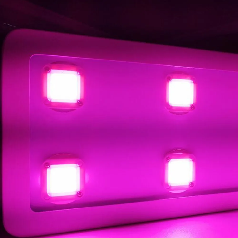 50 Вт COB led grow chip полный спектр для комнатных тентов для выращивания гидропоники