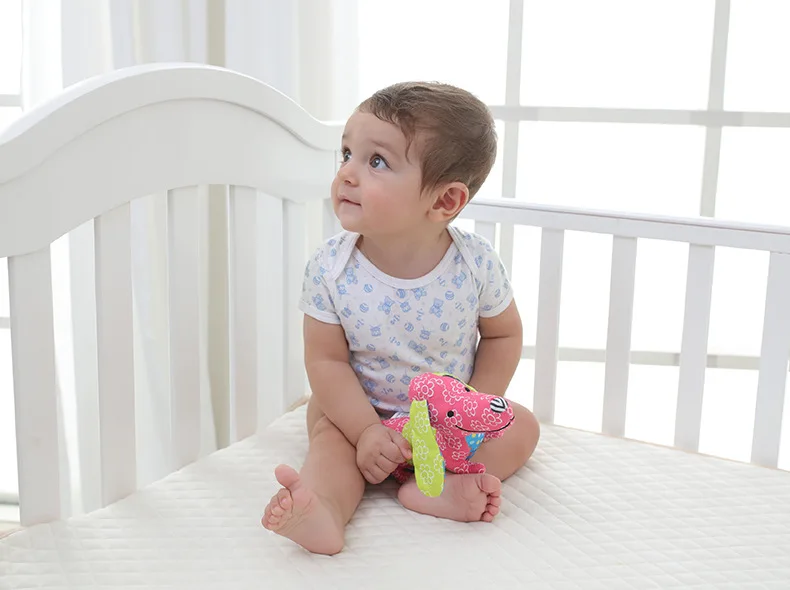 9046789786_1760842305