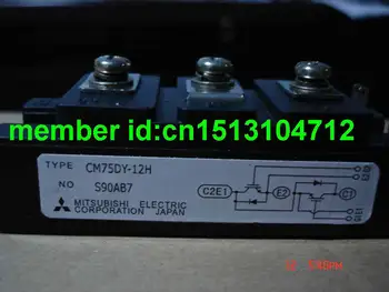 

CM75DY-12H module