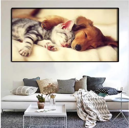 Новый 5D DIY картина вышитая бисером Cat &amp dog круглый бриллиант вышивка кошка
