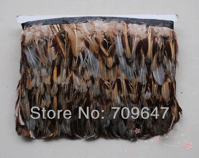 Touch of Nature Packaged Pheasant Brown Ringneck Natural Feathers