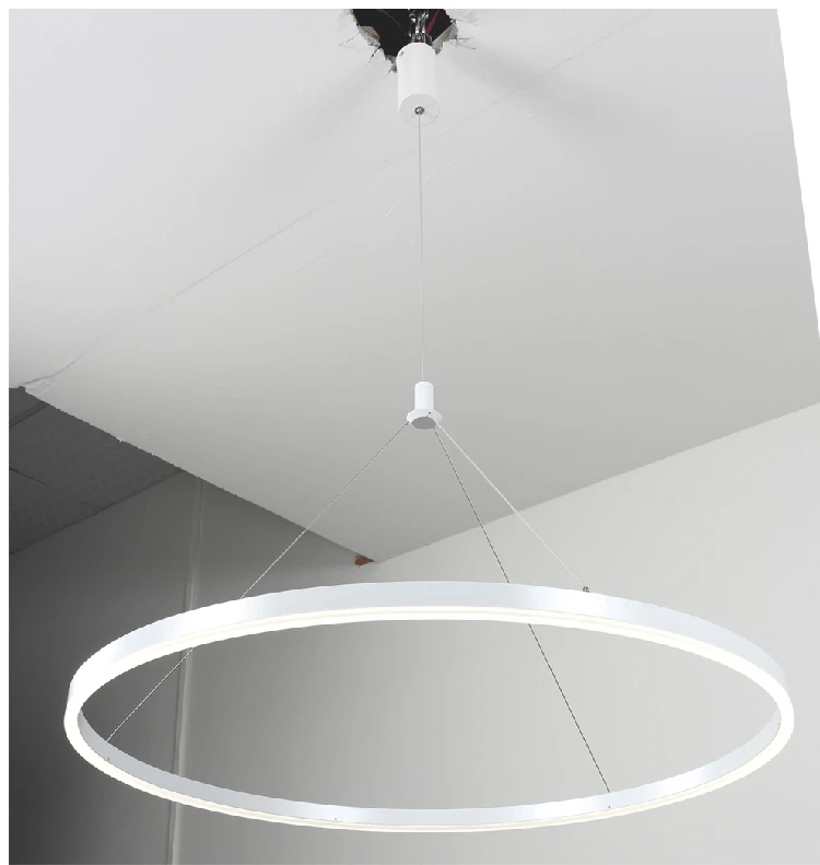 Circle Pendant lamp 08