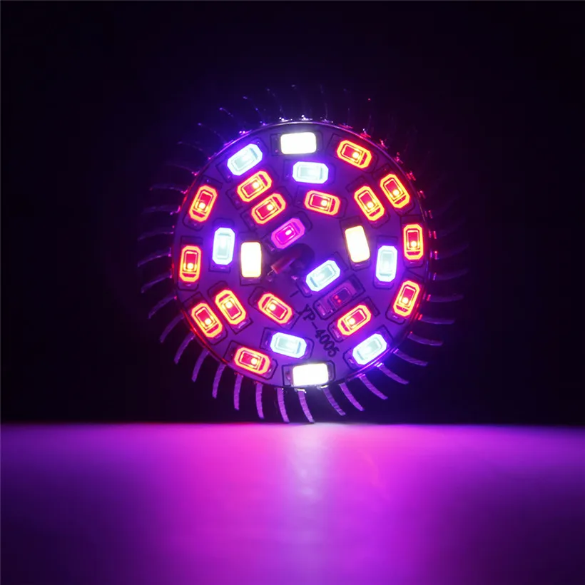 Plant growth lamp (3)