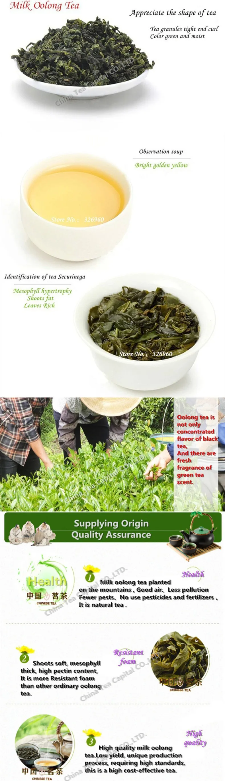  Wholesale jin xuan Milk Oolong Tea 125g High Quality Tiguanyin Green Tea Milk Oolong Health Care Milk Tea 