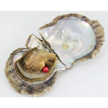 

Freshwater Oyster with AAA Grade 7-8 mm Round Rose Red Wish Pearl in Vacuum Package Kids Party Gifts Free Shipping FR020
