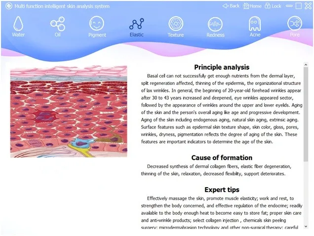 skin manual 03