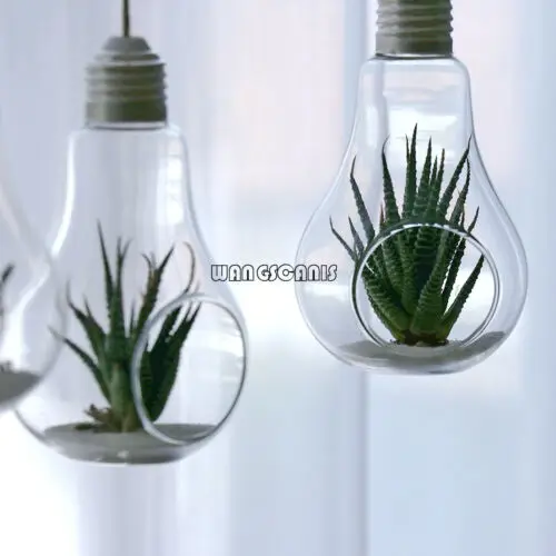 

Flower Hanging Vase Glass Planter Plant Terrarium Container Home Wedding Decor