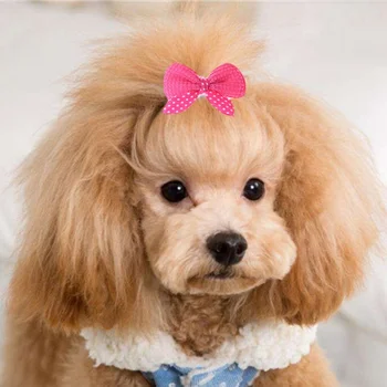 

10PCS/Lot Assorted Pet Cat Dog Hair Bows Cute Pet Headwear for Small Dogs Hairpin Pet Hair Clip Headdress Pet Hair Accessories