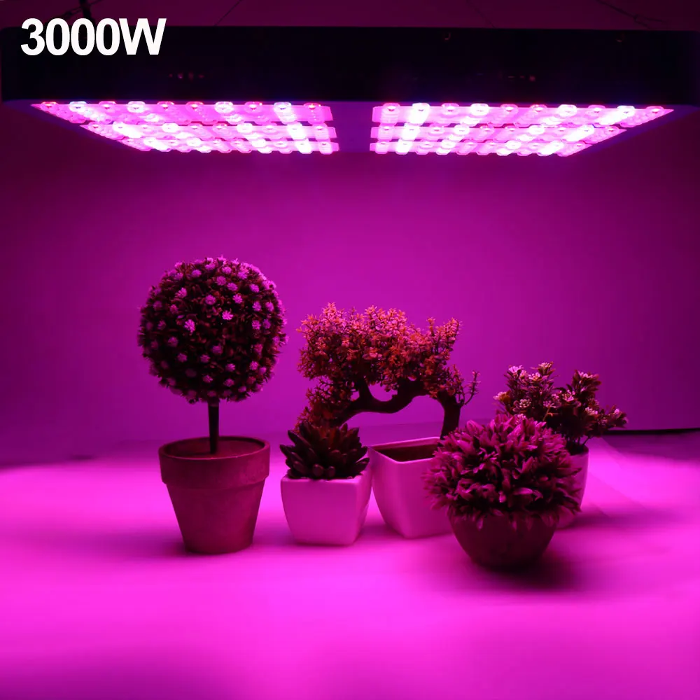 3000w