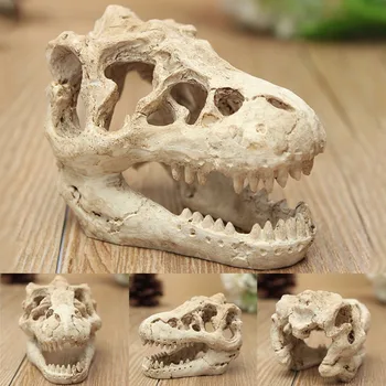 

Resin Dinosaur Skull Aquarium Decoration Terrarium Reptile Fish Tank Ornament