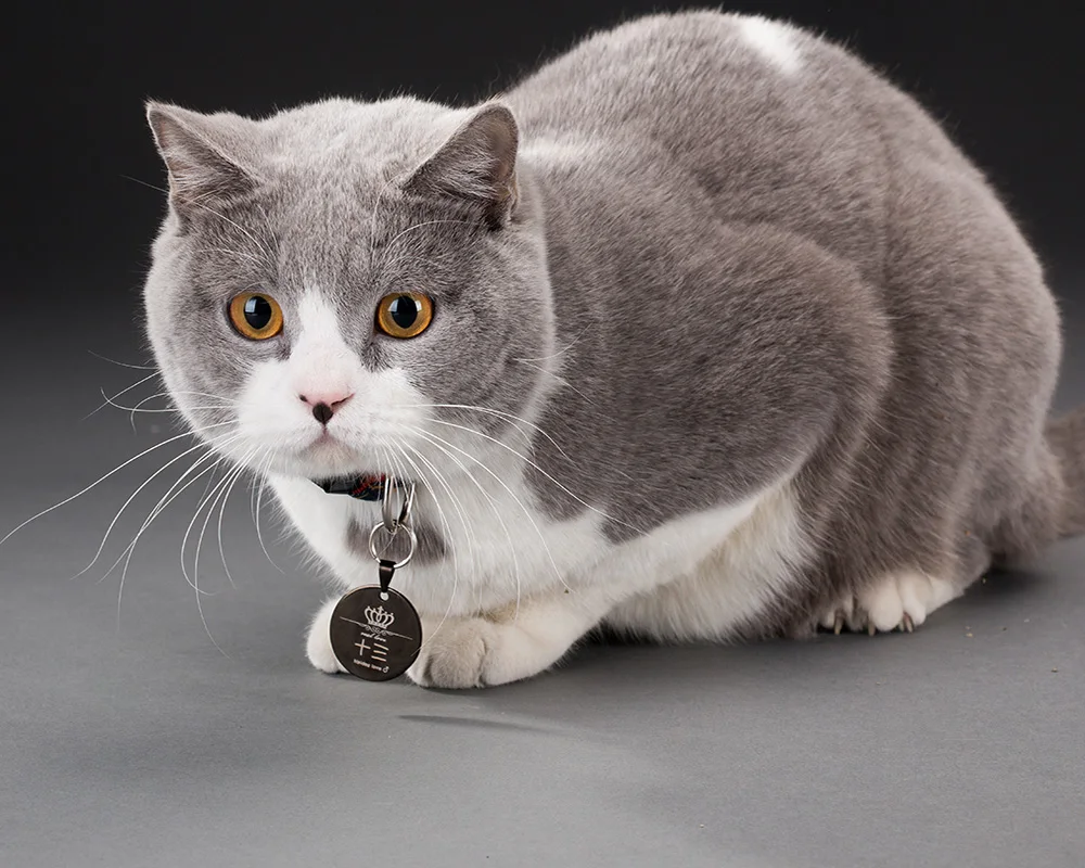 HTB1tkFlQFXXXXX2apXXq6xXFXXXV