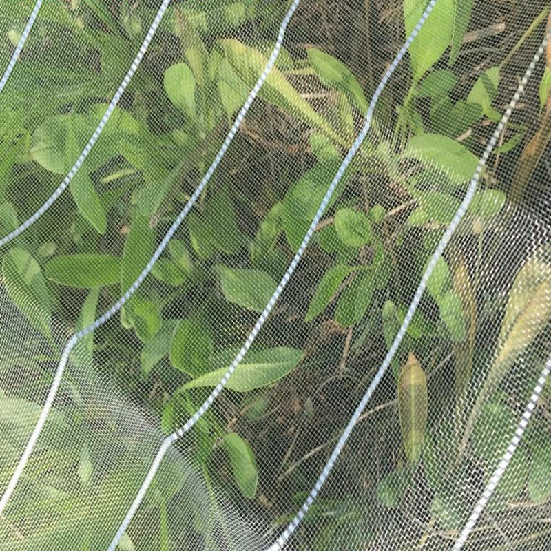 TB2BY5nikKWBuNjy1zjXXcOypXa_!!86559273