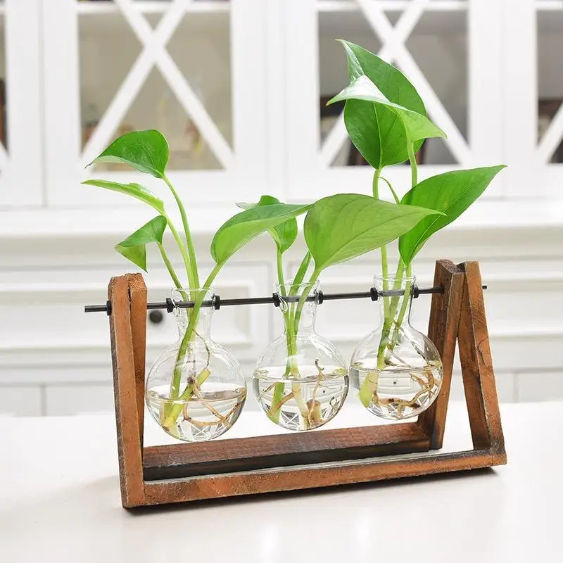 Adeeing креативное растительное стекло гидропоники контейнеры для террариума декор стола с деревянной подставкой цветочный горшок для оформления дома