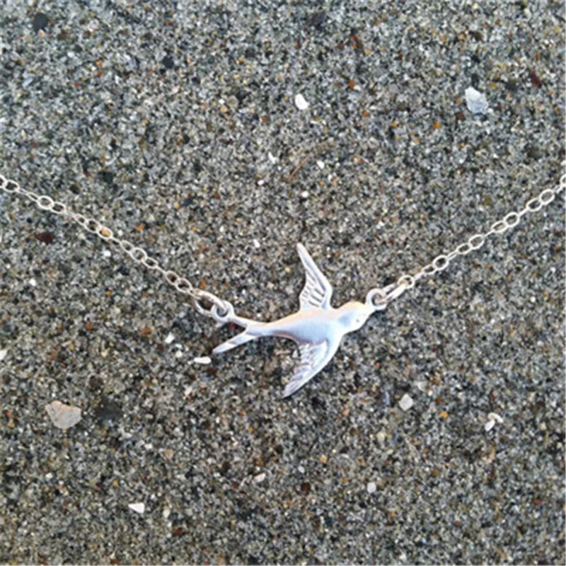 3904932249_948639735.400x400