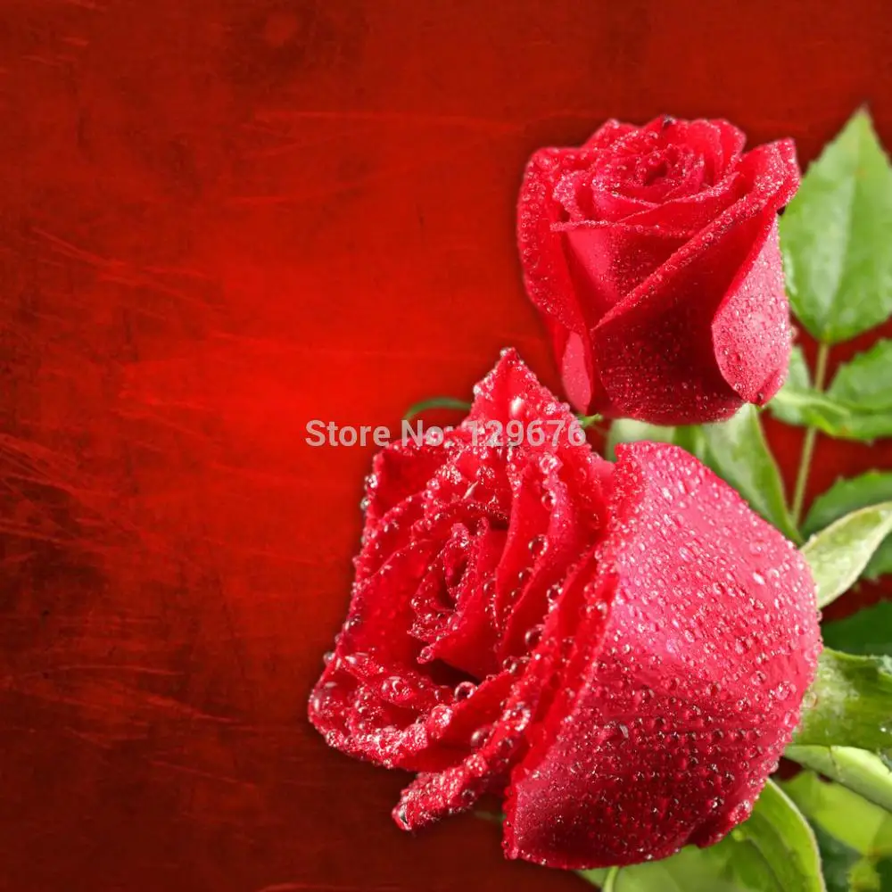 

10x10ft Valentine's day theme Photography Backdrops Vinyl Prop Photo Studio Background QRL297