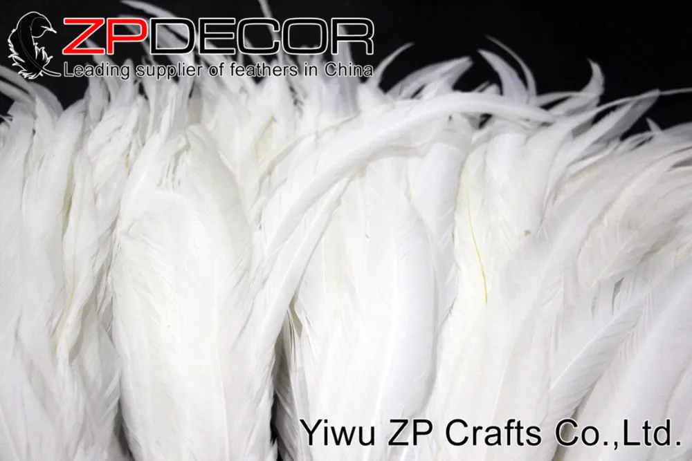 rooster tail feathers 35-40cm (10)
