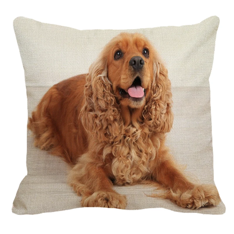 английский кокер-спаниель. русский кокер кокер спаниель. американскийк кокер спаниель. американскийковер спаниель. сколько лет живут кокеры.