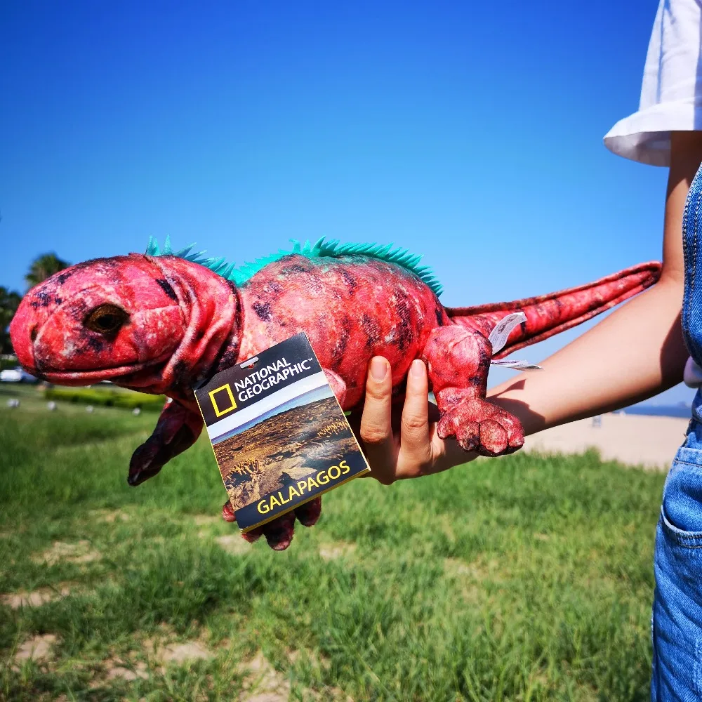 iguana teddy