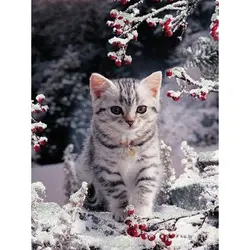 100% Полный 5D Diy Daimond картина "снег котенок" 3D крестиком круглый горный хрусталь полный вставить Diamant живопись вышивка