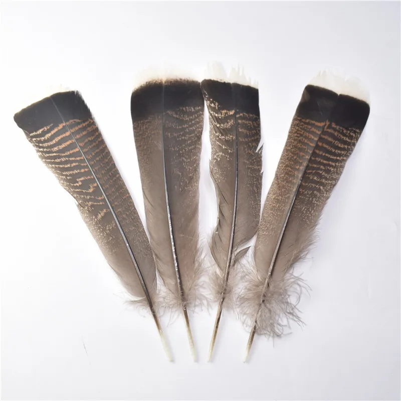 

Hot selling natural Eagle bird feathers 10-50pcs/lot25-30cm high Quality Eagle feathers for crafts diy jewelry decoration plumes
