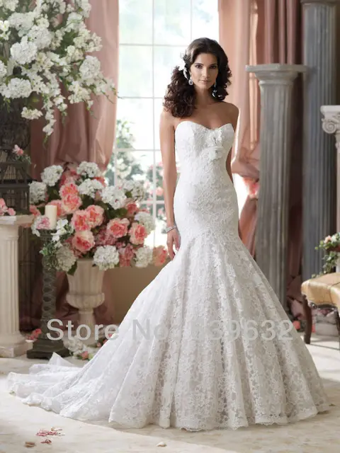 Alencon Lace Mermaid Wedding Dresses