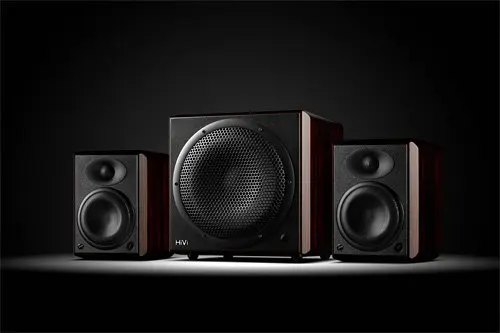 HiVi Swans H5 5,1 канальный монитор колонки HIFI активная система домашнего кинотеатра H10-10 дюймов односторонний вентилируемый активный сабвуфер H5-5.25