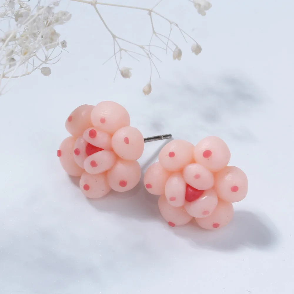 

DoreenBeads 5 Styles Polymer Clay Succulent Plants Ear Post Stud Earrings for Women Girl Summer Boho Chic Bohemia Earrings 1Pair