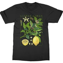 Fashion Show-JF футболка с коротким рукавом и принтом лимона, художественные футболки с принтом растительного сада, цветущего фруктового цветка