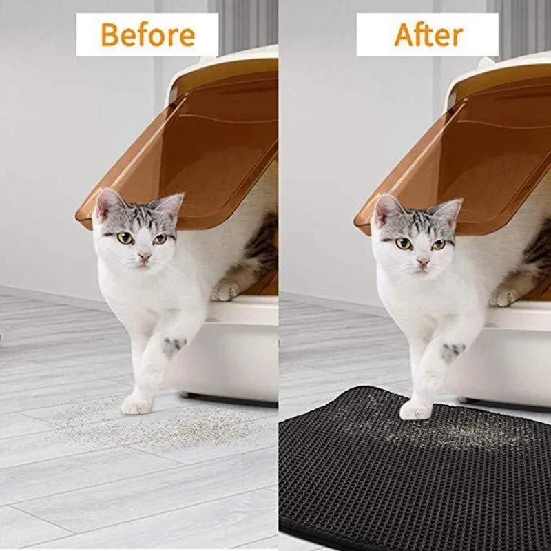 tray cat.jpg