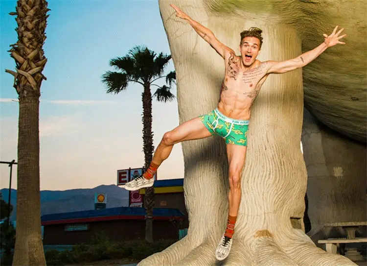 aeProduct.getSubject()