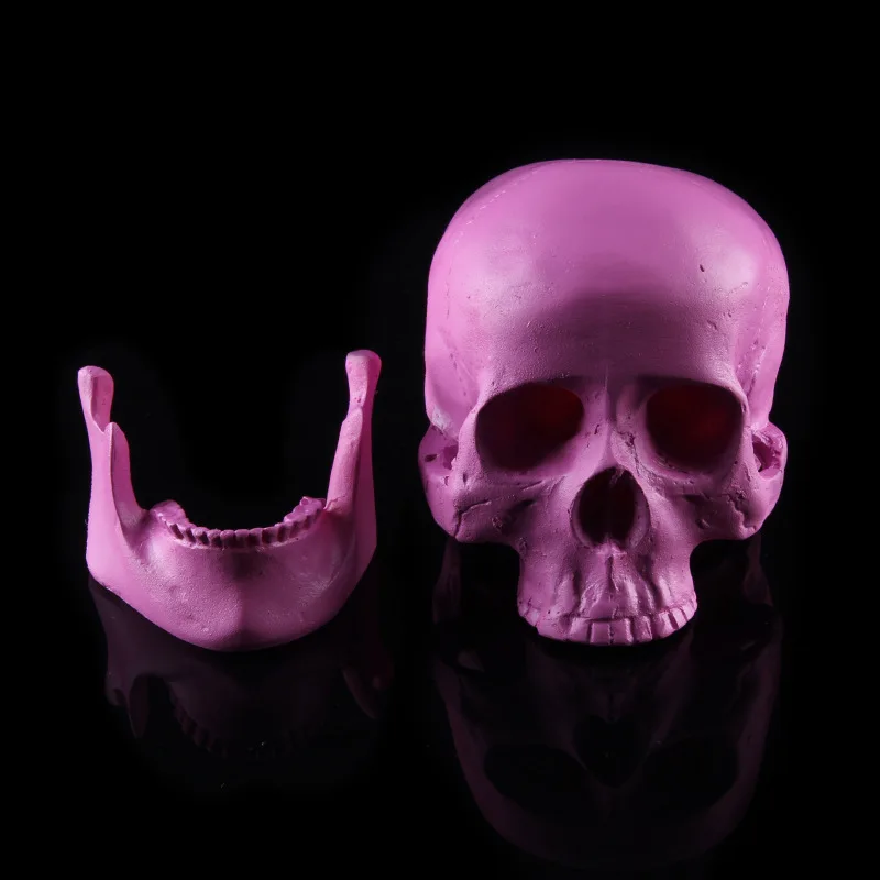 Смола Craft фиолетовый череп головы Halloween Party украшения праздничных вечеринок сувениры подарки мультфильмов учения медицина