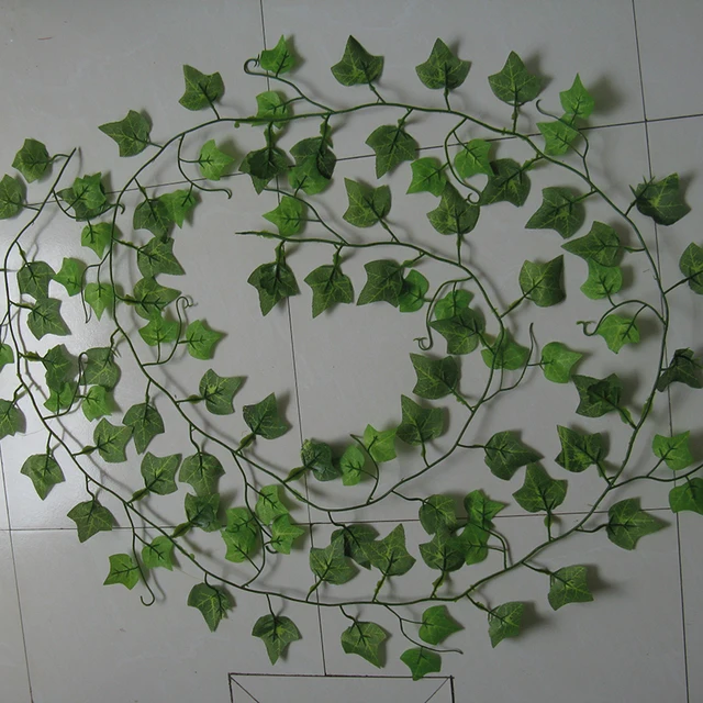 2 4 m sztuczny bluszcz zielony liść Garland rośliny Vine fake liści kwiaty Home Decor plastikowe sztuczne kwiat rattan String tanie i dobre opinie Sztuczne kwiaty Hybrydowy z mocniej Strona Łańcuch kwiatów Kawałek 0 05 kg (0 11 funta) 10 cm x 15cm x 10 cm (3 94 cala x 5 91 cala x 3 94 cala) 2 4 m sztuczny bluszcz zielony liść Garland rośliny Vine fake liści kwiaty Home Decor plastikowe sztuczne kwiat rattan String tanie i dobre opinie Sztuczne kwiaty Hybrydowy z mocniej Strona Łańcuch kwiatów Kawałek 0 05 kg (0 11 funta) 10 cm x 15cm x 10 cm (3 94 cala x 5 91 cala x 3 94 cala)
