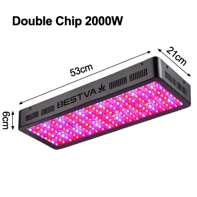 2000w