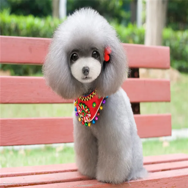 small dog accessories small dog accessories