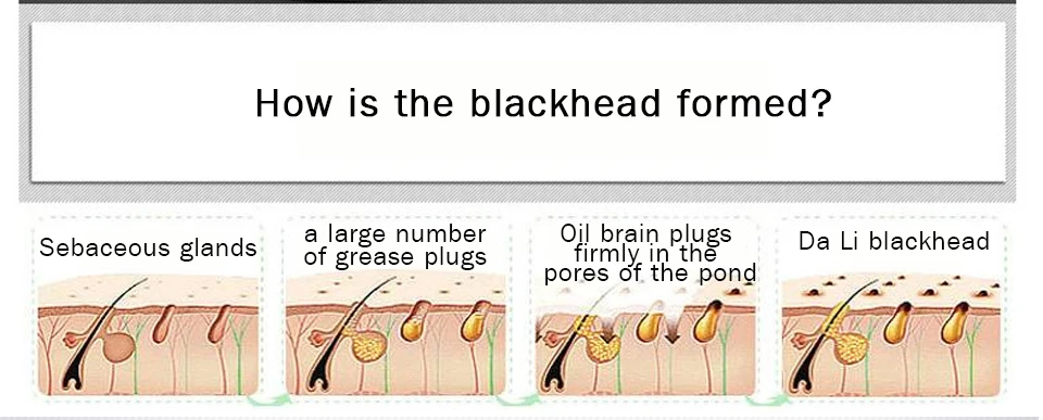 4371605180_844782064_02
